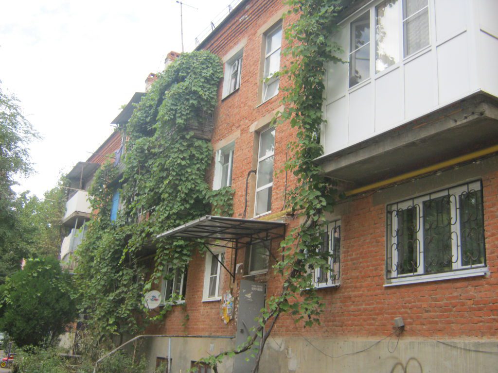 IMG 0525