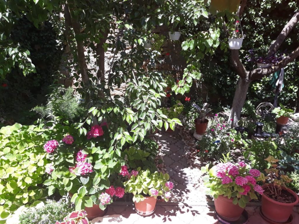 IMG 20200306 WA0069