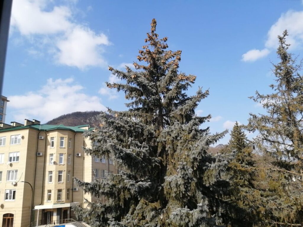IMG 20220219 WA0068