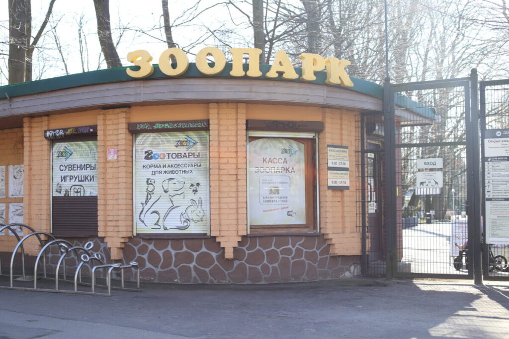 IMG 1108 — копия