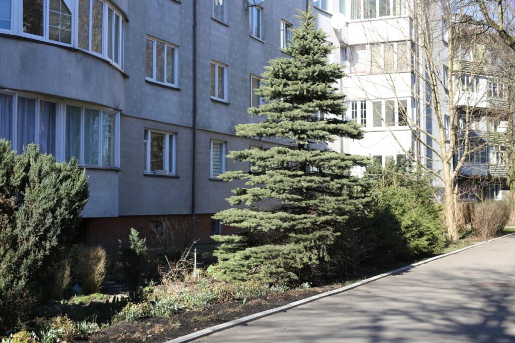 IMG 1110 — копия
