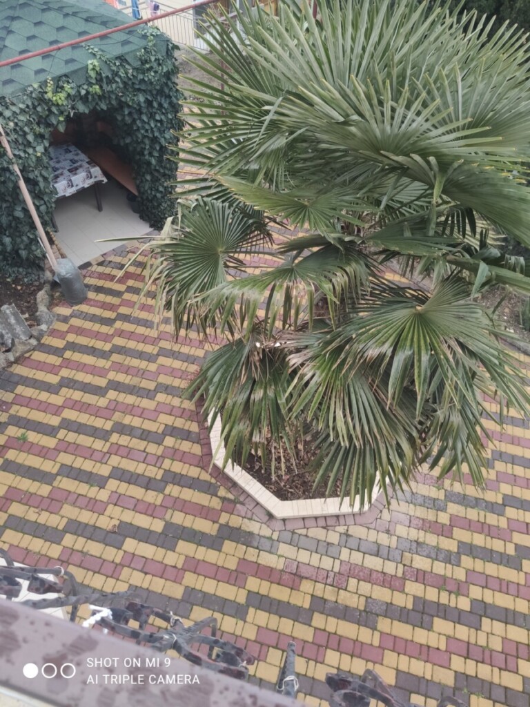 IMG 20260108 105453 1