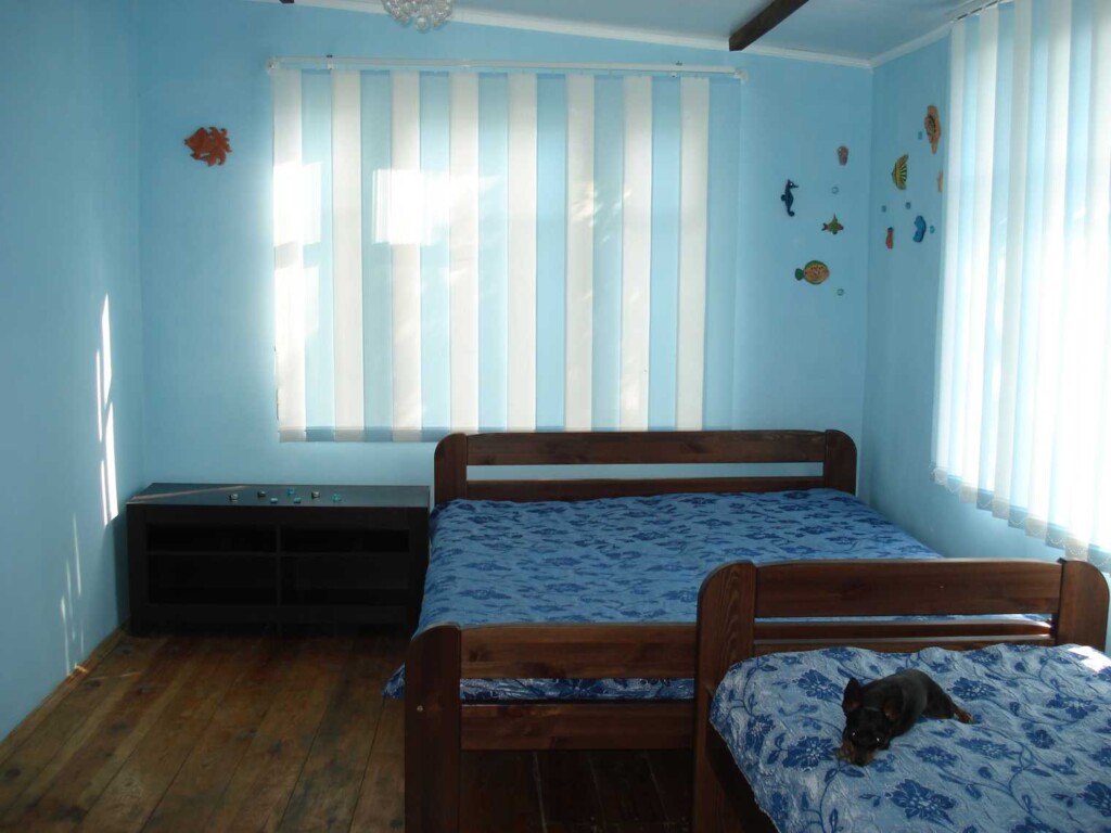 DSC07
