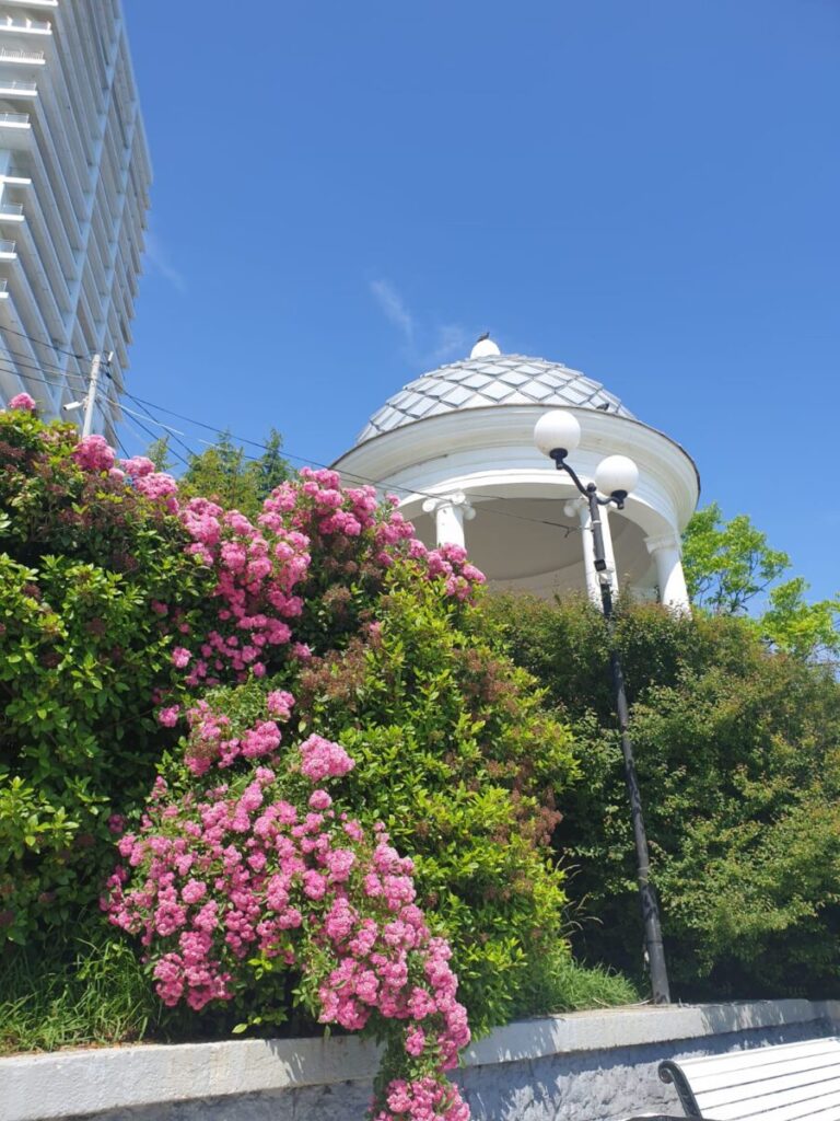 IMG 20250610 WA0039