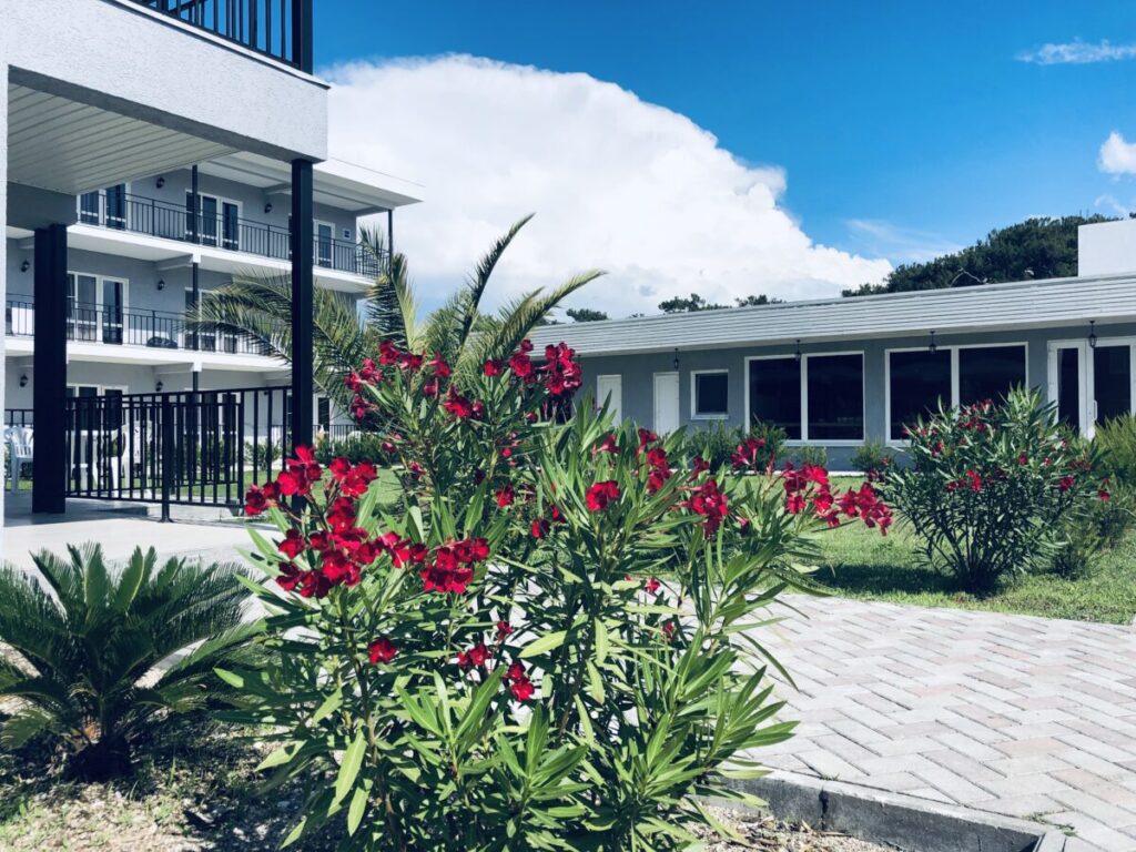 IMG 0384